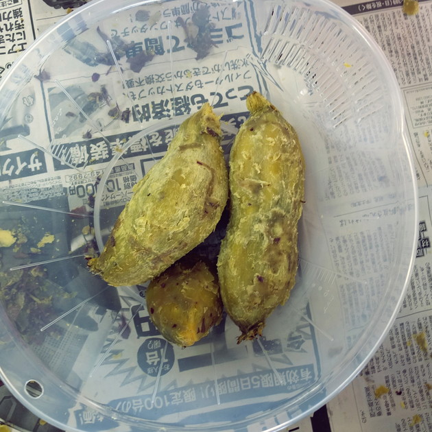 DSCF0768