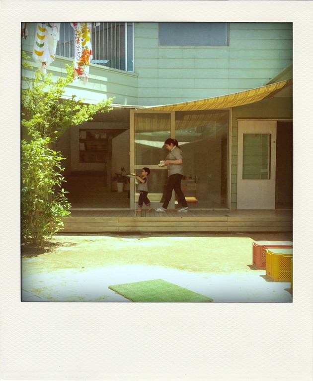 003-pola